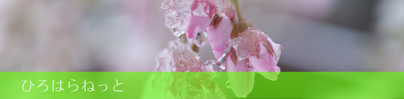 広原区について